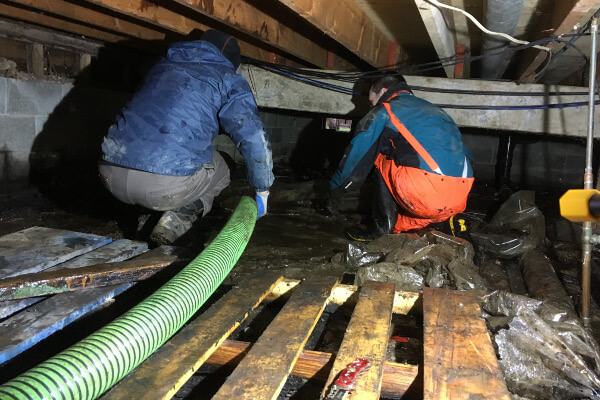 Oil Tank Leaking & Remediation